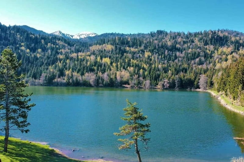 welcome to georgia discover together - What’s Included and How Does It Add Value?