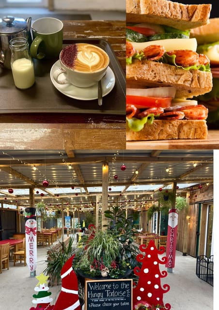 Wexford: A Mindful Retreat Forest Bathing & Nature Therapy - Setting the Scene at Secret Valley Wildlife Park