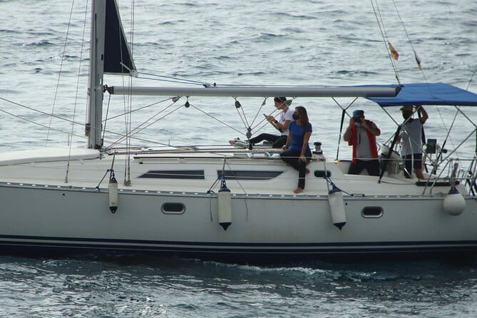 Whale & Dolphin Watching Boat Trip in Tenerife On a Sailing Boat (3 Hr) - Who Will Love This Experience?