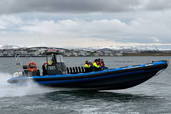 Whale Watching - RIB Boat Adventure in Kopavogur, Iceland - The Itinerary in Detail: What to Expect