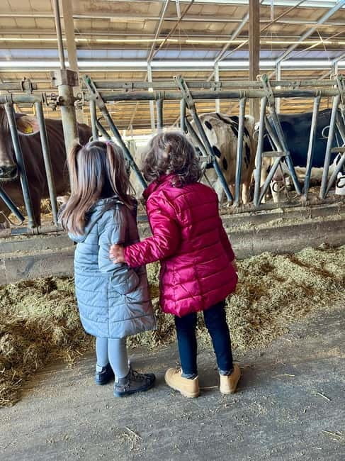 What a day: Parmesan, Balsamico , Lambrusco Taste&Tour+Lunch - The Hillside Winery and a Perfect Lunch