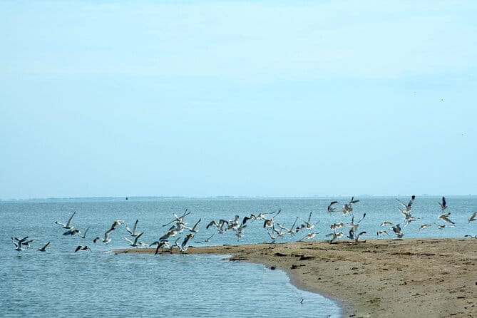 Wild Beach single handed Blokart Safari - The Sum Up