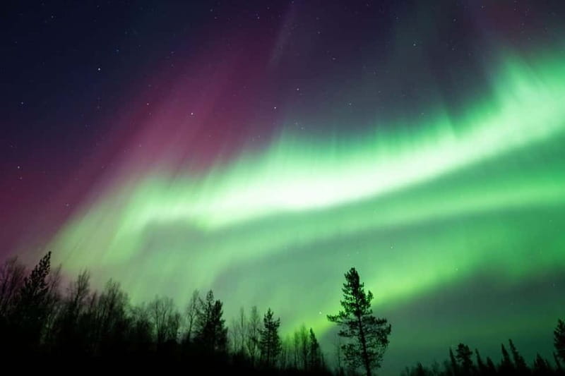 Wilderness Adventure by Snowmobile Sleigh - Meeting Reindeer and the Cozy Sámi Hut Experience