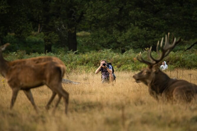 Wildlife Photography Workshop in Richmond Park in London - What to Expect During the Workshop