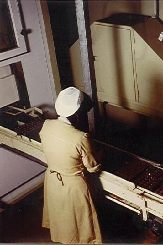 Willy Wonka in Turin - A chocolate adventure - Who Will Love This Tour?