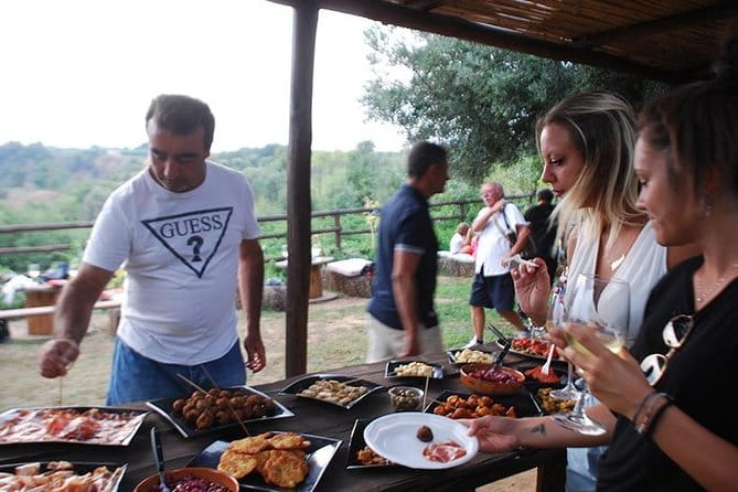 Wine and food tasting - Logistics, Price, and Practical Tips