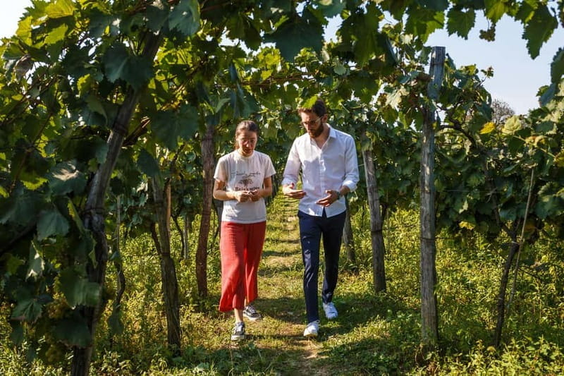 Wine & Dine group tour from Kutaisi - A Georgian Lunch That Feels Like Home