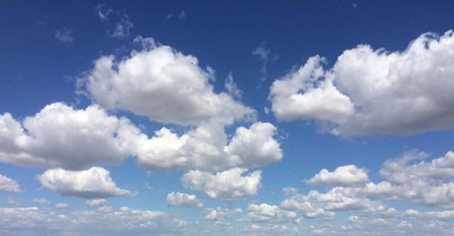 Wine Experience around Cagliari - Who Will Love This Tour?