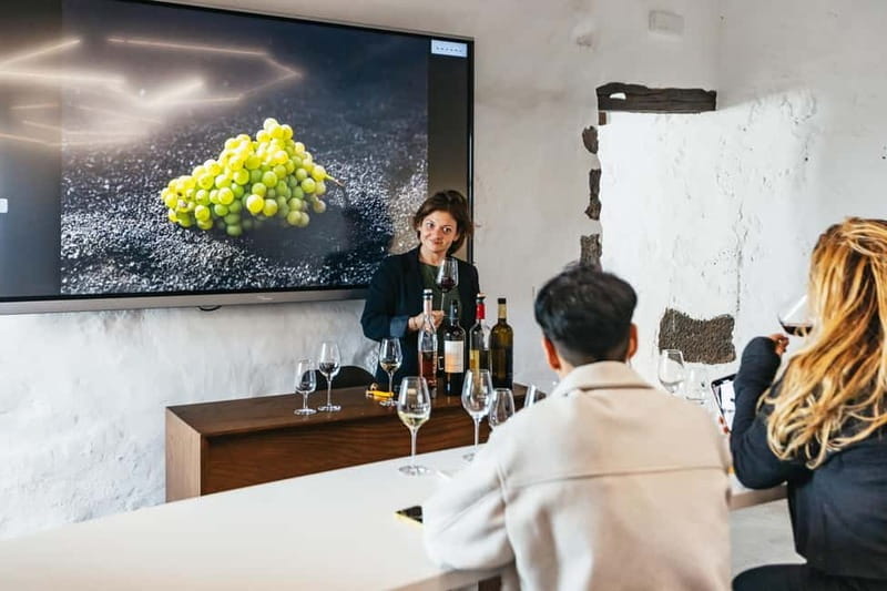 Wine Lovers: Wine Tasting Tour at El Grifo Bodega Lanzarote - Who Will Love This Tour?