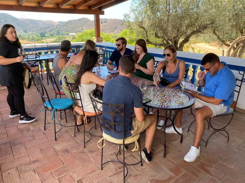 Wine Not - Algarve Winery Tour - Who Will Love This Tour?