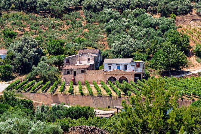 Wine & Olive Oil tasting one day private tour in Crete - The Value of a Private Tour in Crete