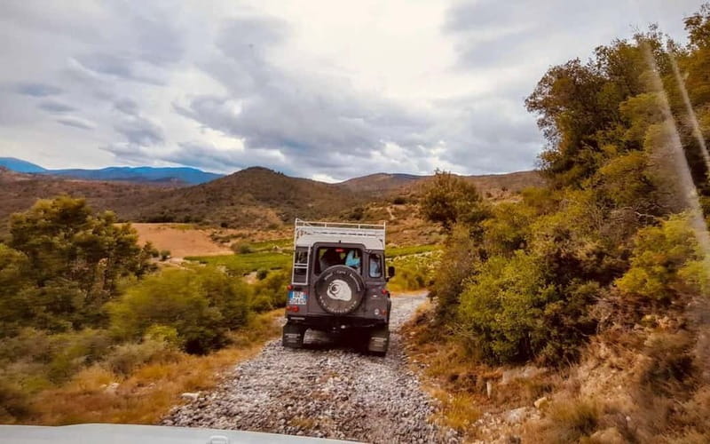 Wine safari - Vineyards and Terroir: Walking Through History and Soil