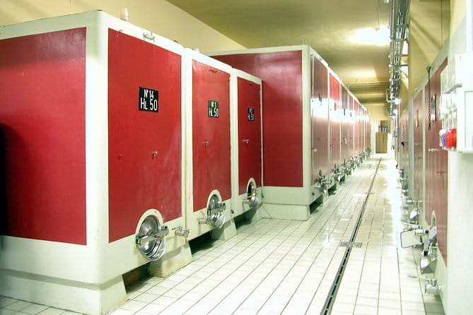 Wine tasting and guided tour of the cellar - Who Should Book This Experience