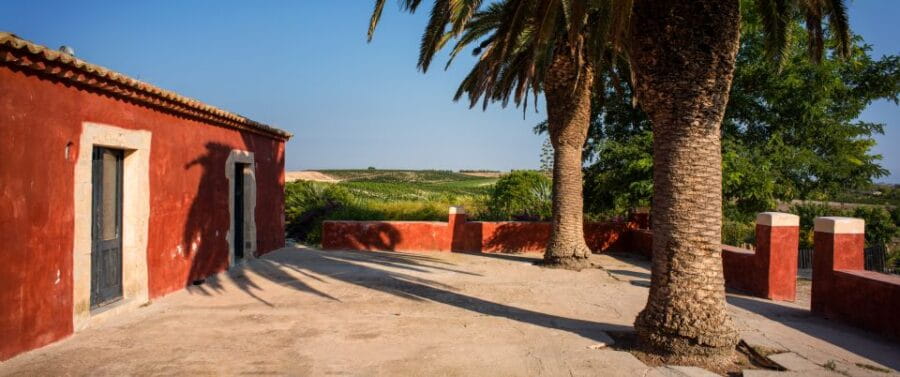 Wine Tasting and Typical Tastings in the Val di Noto - Exploring the Heart of Val di Noto’s Wine Scene