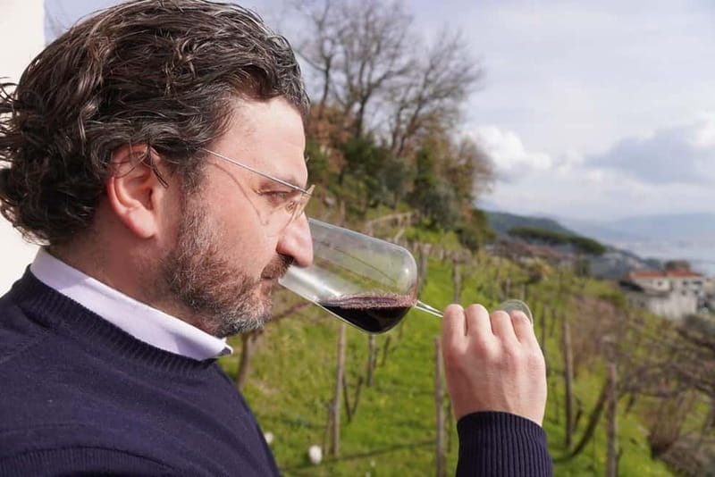 Wine tasting in Cilento with professional sommelier. - The Slow Cilento Experience and Its Unique Charm