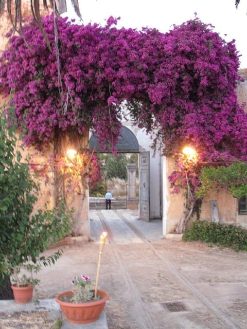 Wine Tasting in the historic baglio Florio Adamo - Who This Tour Is Best For