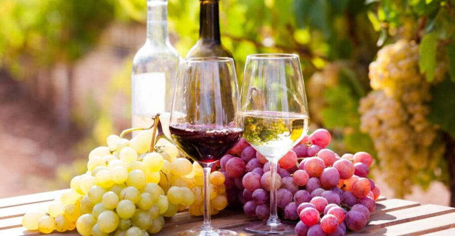 Wine tasting in the Vesuvius National Park - Exploring the Vesuvius Wine Experience in Detail