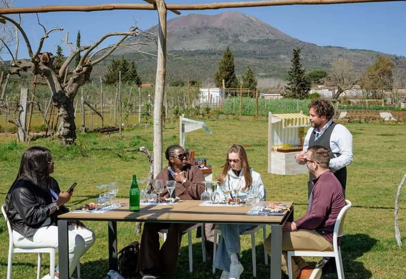 Wine Tasting on Mt. Vesuvius - The Experience: What This Tour Offers and Why It Matters
