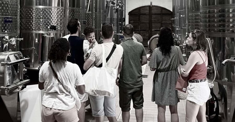 Wine Tasting Saint-Florent & Patrimonio - Who Will Love This Experience?