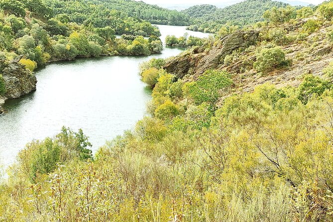 Wine Tasting & Tapas 4x4 Tours - Price & Logistics: Is It Worth It?