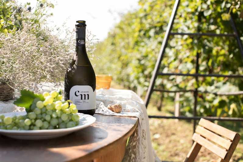 Wine Tasting: the flavors of the Prosecco Hills - Transport and Practical Details