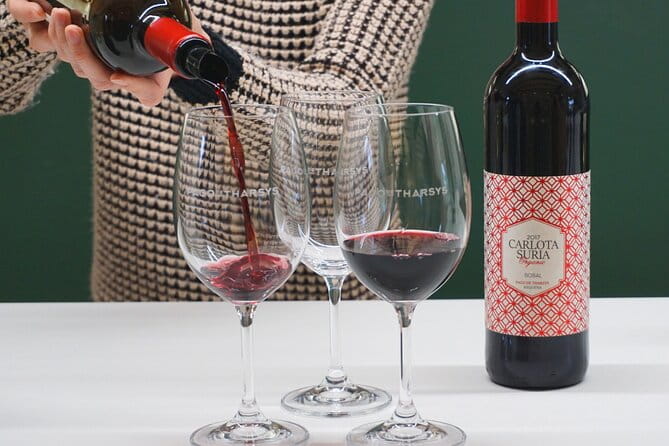 Wine tasting tour - What Makes Each Stop Unique?