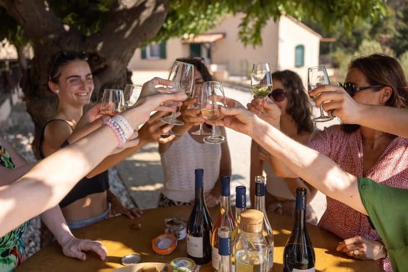 Wine tasting tour - Le Pradet - Who Will Love This Tour? Ideal For...