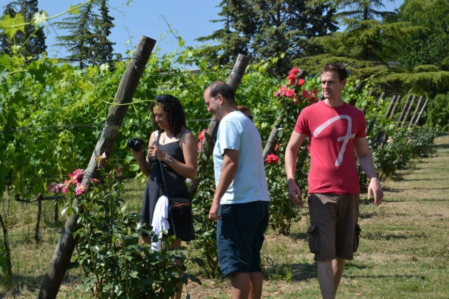 Wine tasting tour with olive oil and salami - What to Expect During the Tour