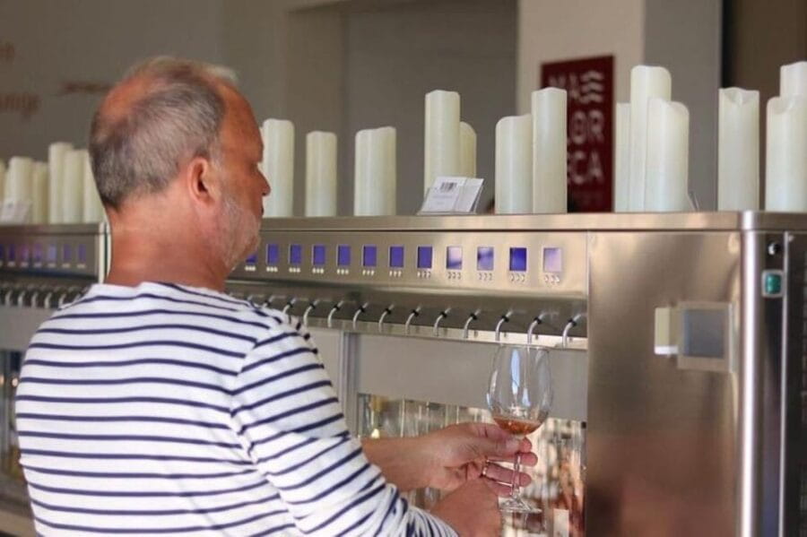 Wine Tasting - wines from the smallest wineries 3 wines - Discover Mallorca’s Hidden Wine Gems