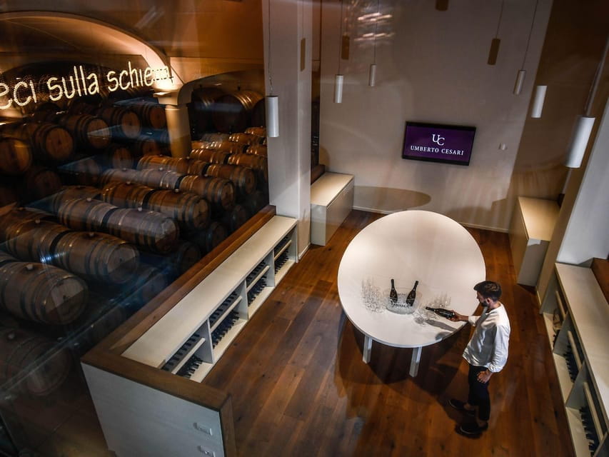 Wine Tasting with Food Pairing near Bologna - Price and Value