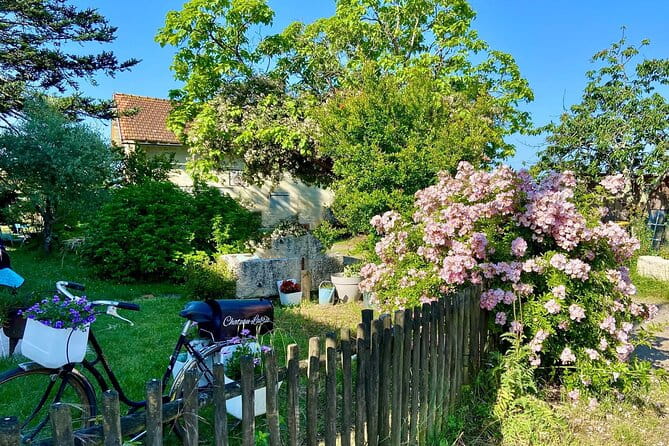 Wine Tour - Château Labrie Saint Emilion Grand Cru - FAQs