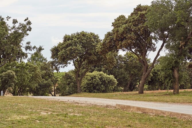 Wine tourism: Wine tasting - The Guides: Knowledgeable and Personable