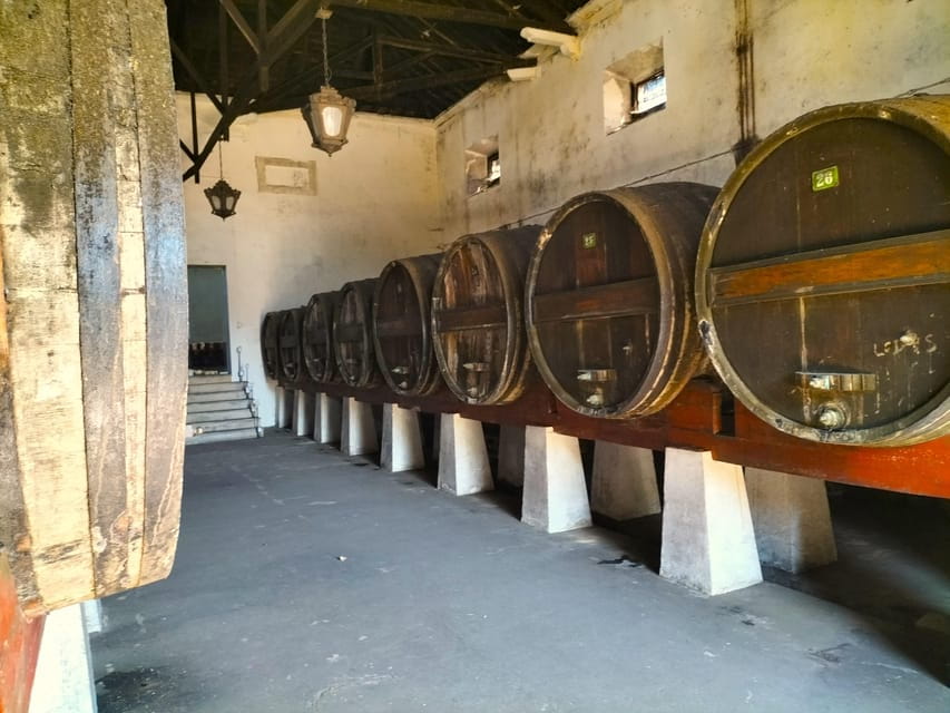 Winery, Tastings & 4WD Vineyards: Half-Day Trip from Lisbon - What Makes This Tour Stand Out?