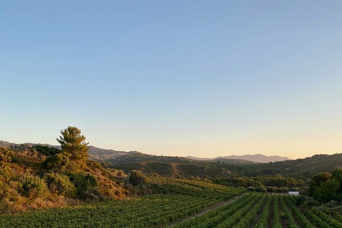 Winery Tour, Tasting and cooking with the Winemaker in Rhodes - FAQs
