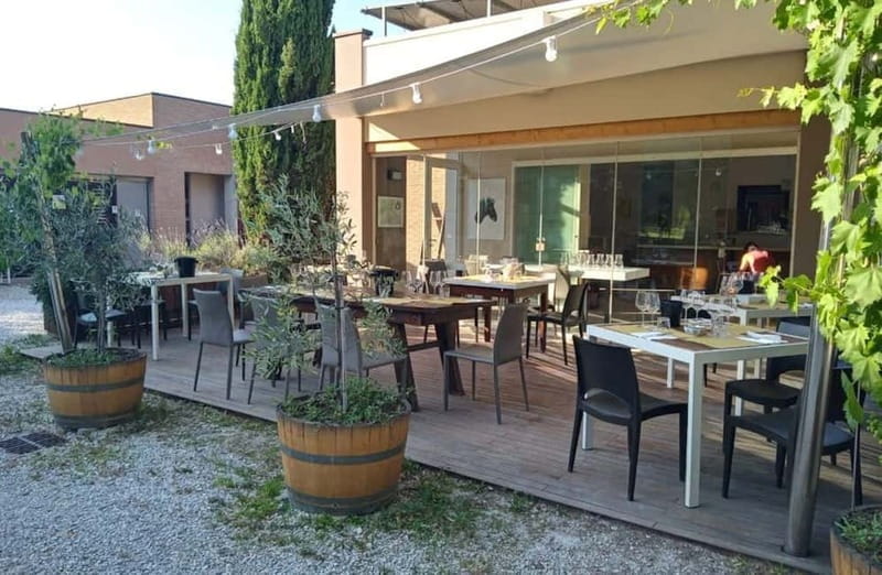 Winery Tour with Wine & Food Tasting near Riccione & Rimini - Price and Logistics: A Good Value