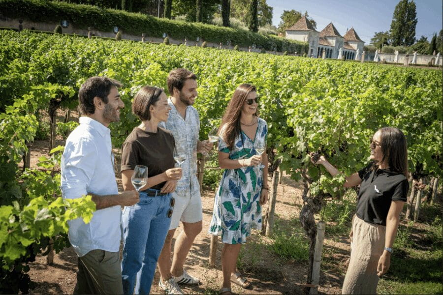 Winery Visit & Fish Market Tour with Tasting from Lisbon - Discovering Setúbal and Its Vibrant Market