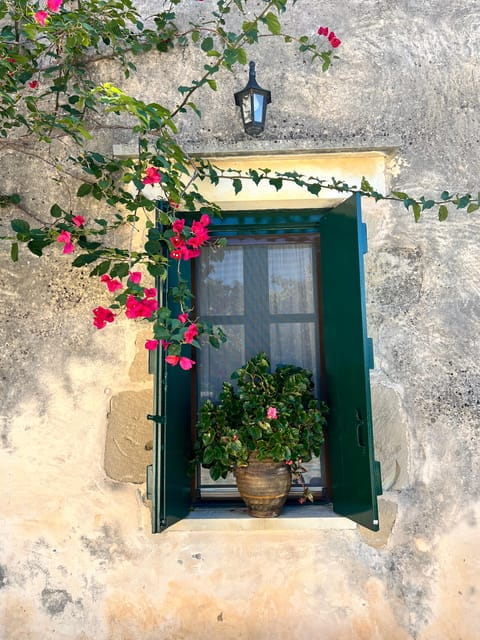 Winery Winery Olive Oil Tasting Traditional lunch - Price and Value: Is It Worth It?