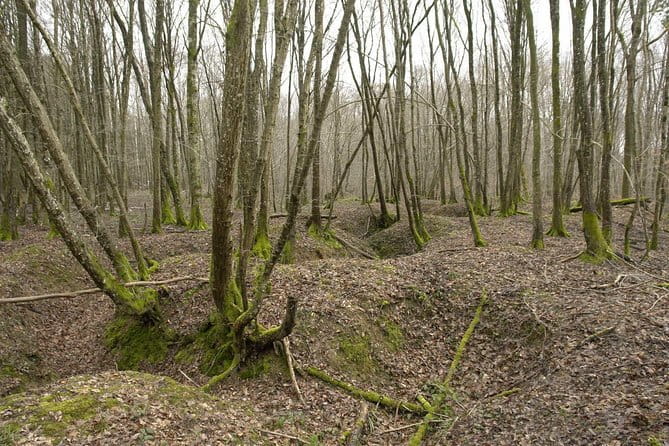World War 1 Walk Through Trenches and Bunkers - Who Would Enjoy This Tour?