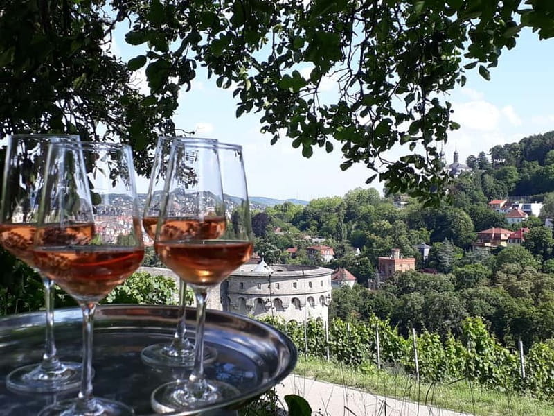 Wuerzburg: Vineyard rally with wine tasting and group dynamics - Price and Logistics