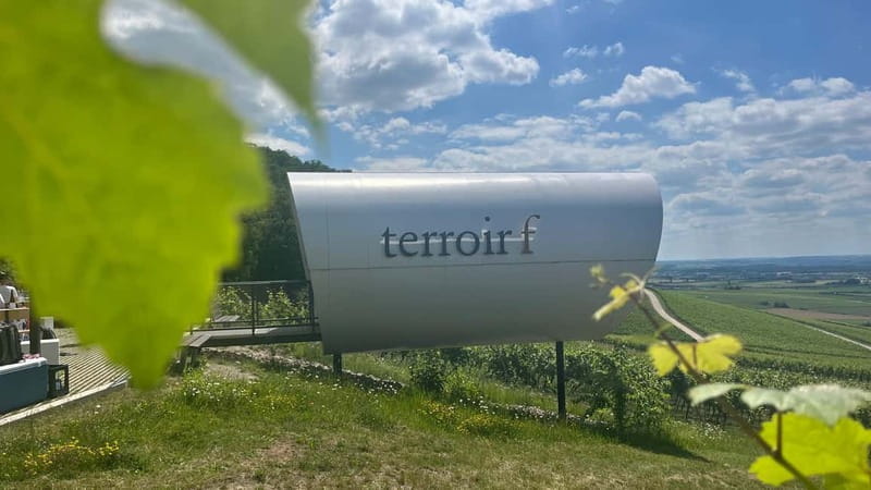 Würzburg: Excursion to the vineyards - enjoyable wine hike & tasting - Exploring the Detailed Itinerary