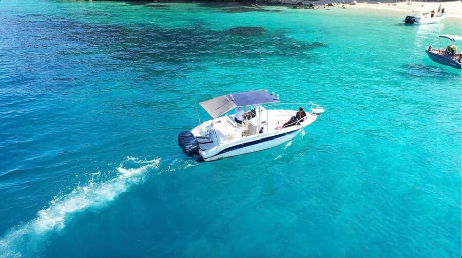 Zakynthos: Guided Boat Tour to Turtle Island with Swimming - Who Will Love This Tour?