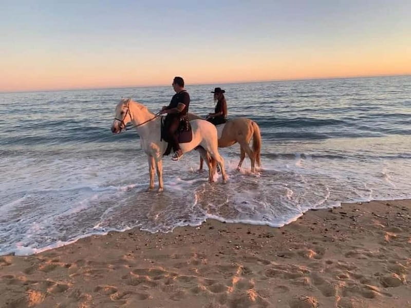 Zakynthos: Yotomu Horseback Riding Tour - What’s Included, What’s Not