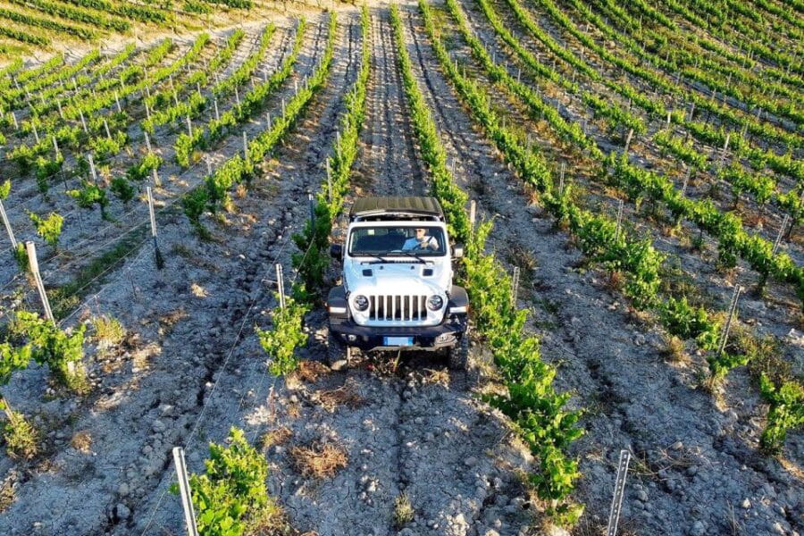 4x4 Jeep Vineyard Safari Tour with Lunch and Wine Tasting - Price and Value Considerations