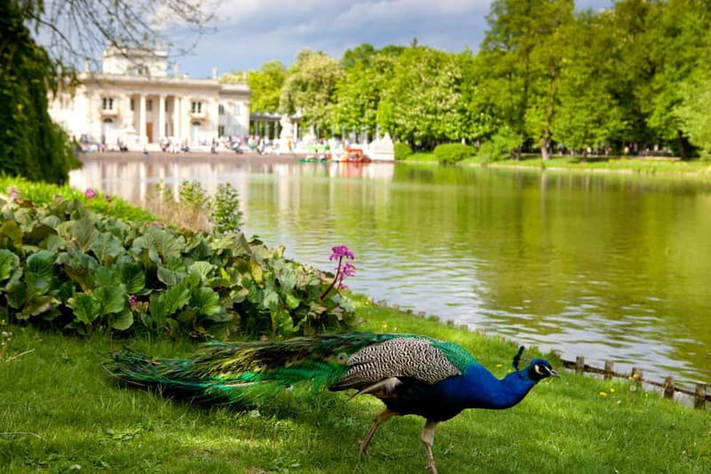 azienki Park and Palace Warsaw Private Tour with Tickets - Who Will Love This Tour