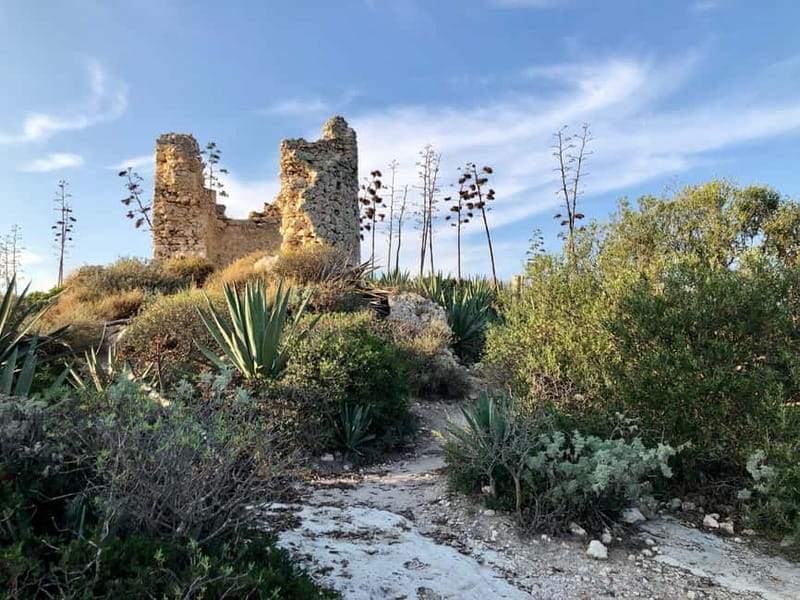 Cagliari: hike to the top of the Devil's Saddle - Price and Logistics: Are You Getting Good Value?