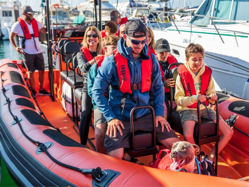 Cascais: Dolphin Watching Tour - Final Thoughts