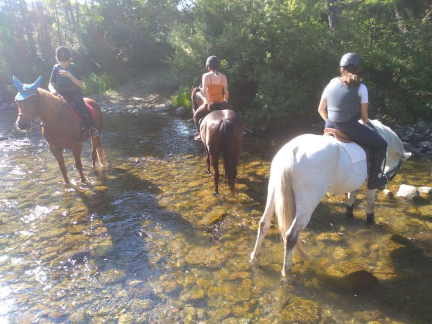 Casentino: Horseback Riding Tour with Verna Sanctuary View - Key points / Takeaways