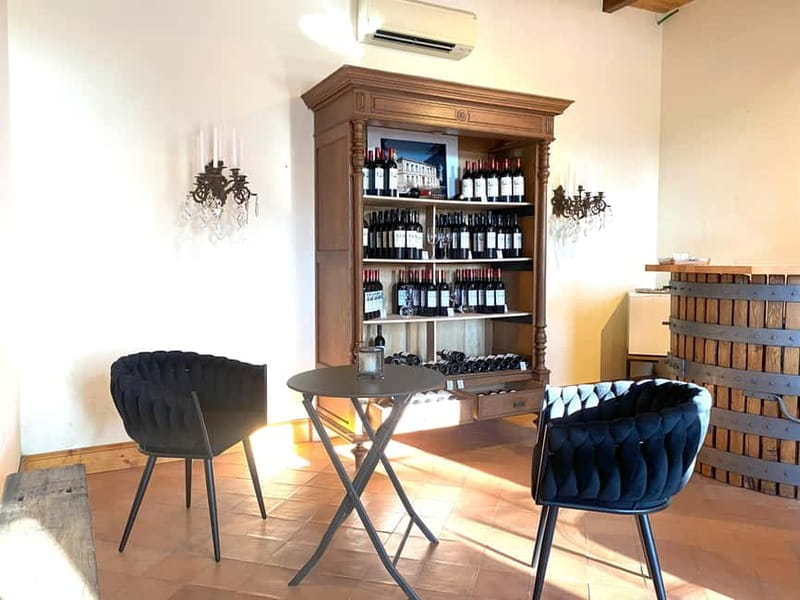 Château St-Emilion Grand Cru visit and Grand Cru and Pomerol tasting - Tasting the Best of Saint-Emilion and Pomerol