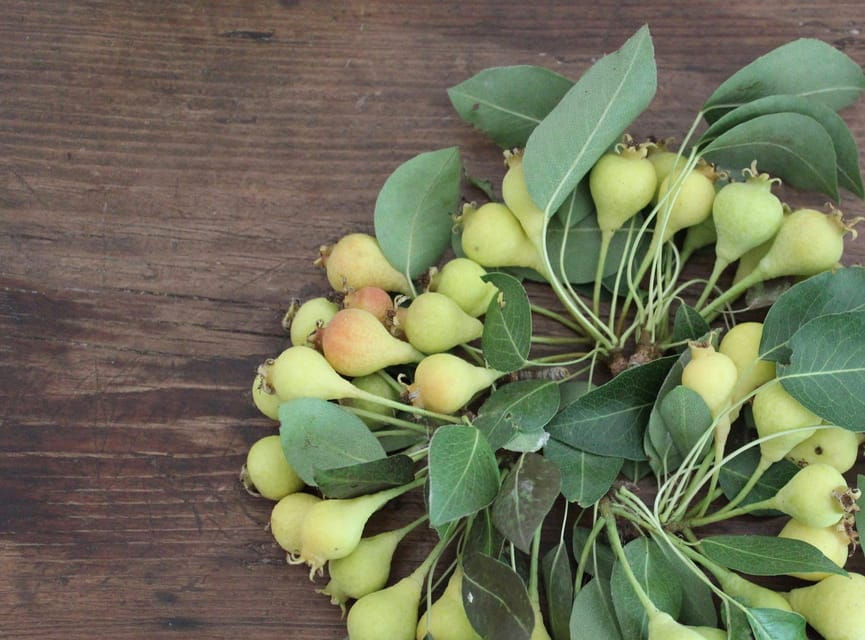 Cisternino: Make a soap with extra virgin olive oil - Practical Details and Tips