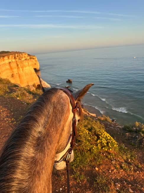 Cliffside Horseback Riding in the Algarve - The Experience Begins at Casa Lusitana: Your Gateway to the Algarve’s Coast